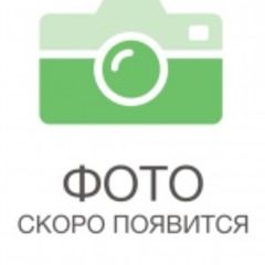 Насонова Елена